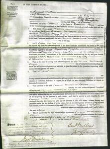 Court of Common Pleas - Emma Millicent Cooper-Original Ancestry