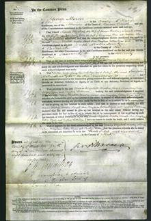 Court of Common Pleas - Maria Elizabeth Martin, Sarah Ann Maylam, Esther Elgar and Caroline Pettman-Original Ancestry