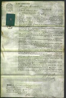 Court of Common Pleas - Elizabeth Shepherd-Original Ancestry