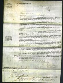 Court of Common Pleas - Martha Matilda Lawrence-Original Ancestry