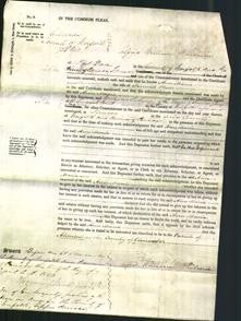 Court of Common Pleas- Ann Maria Millington Weale-Original Ancestry