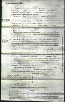 Court of Common Pleas - Mary Brown-Original Ancestry