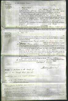 Court of Common Pleas - Frances Gilbert, Ann Horton, Sarah Ward-Original Ancestry