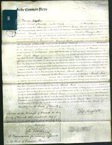 Court of Common Pleas - Sarah Howe-Original Ancestry