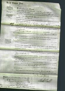 Court of Common Pleas - Elizabeth Lewis-Original Ancestry