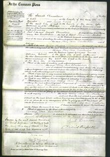 Court of Common Pleas - Mary Ann Constantine Herbert-Original Ancestry