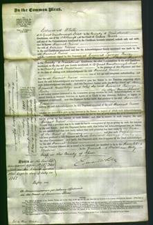 Court of Common Pleas - Harriet Niven-Original Ancestry