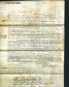 Court of Common Pleas - Mary Pawson, Anne Kettlewell and Rebecca Traves-Original Ancestry