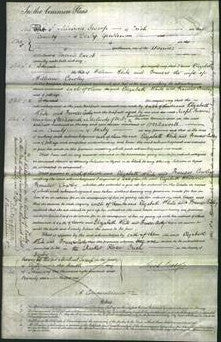 Court of Common Pleas - Elizabeth White and Frances Cowley-Original Ancestry