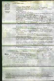 Court of Common Pleas - Ann Snelling-Original Ancestry