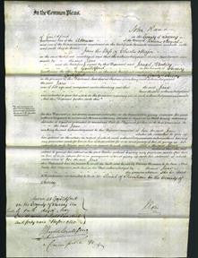 Court of Common Pleas - Jane Major-Original Ancestry
