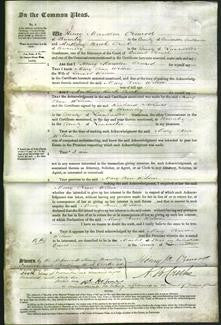 Court of Common Pleas - Mary Ann Wilson-Original Ancestry