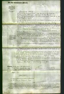 Court of Common Pleas - Harriet Niven-Original Ancestry