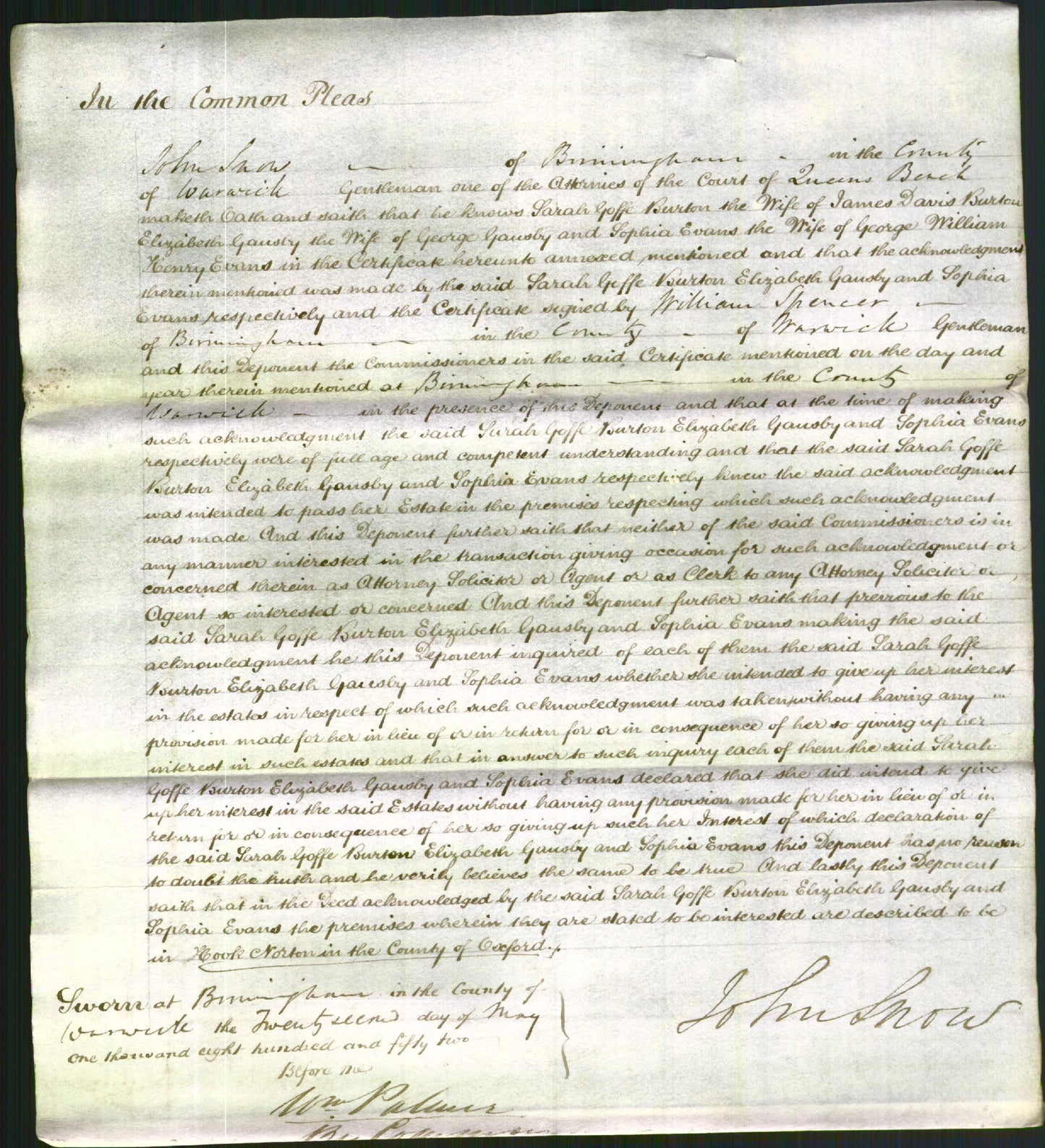 Court of Common Pleas - Sarah Goffe Burton, Elizabeth Gausby and Sophia Evans-Original Ancestry