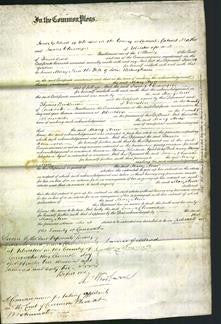 Court of Common Pleas - Mary Ann Bellingham-Original Ancestry