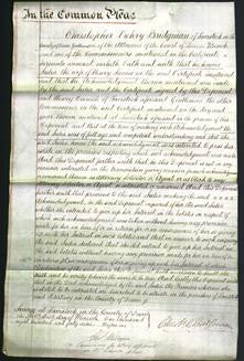 Court of Common Pleas - Julia James-Original Ancestry