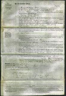 Court of Common Pleas - Sarah Maria Winter-Original Ancestry