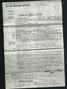 Court of Common Pleas - Joanna John-Original Ancestry