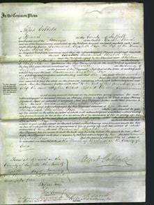 Court of Common Pleas - Susannah Elizabeth Page-Original Ancestry