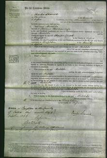 Court of Common Pleas - Matilda Barrowcliffe-Original Ancestry