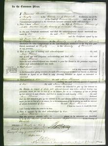 Court of Common Pleas - Ann Hiorns-Original Ancestry