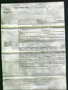 Court of Common Pleas - Harriett Hull Brown-Original Ancestry