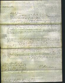 Court of Common Pleas - Sarah Johnson-Original Ancestry