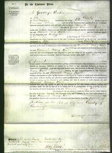 Court of Common Pleas - Hannah Mary Hall-Original Ancestry