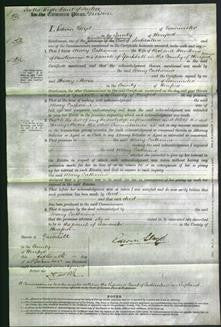 Court of Common Pleas - Mary Catherine Hankins-Original Ancestry