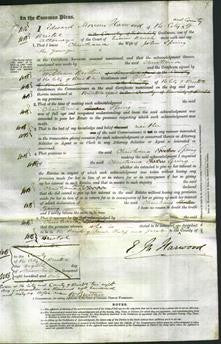 Court of Common Pleas - Christiana Spring-Original Ancestry