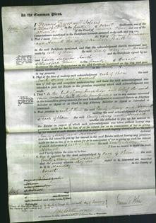 Court of Common Pleas - Emily Mary Welchman and Harriett Fraill-Original Ancestry