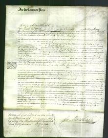 Court of Common Pleas - Sarah Beeley-Original Ancestry