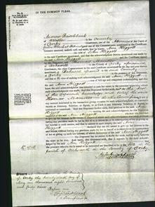 Court of Common Pleas - Ann Higgott-Original Ancestry