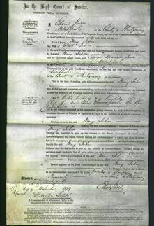 Court of Common Pleas - Mary Jehn-Original Ancestry
