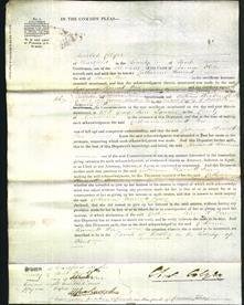 Court of Common Pleas - Catherine Harriett Pew-Original Ancestry