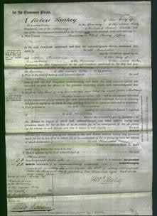 Court of Common Pleas - Henrietta Jeffery-Original Ancestry