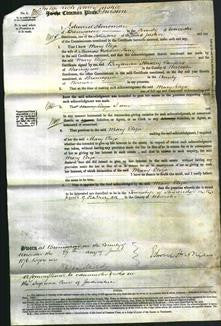 Court of Common Pleas - Mary Eliza Parry-Original Ancestry