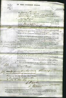 Court of Common Pleas - Mary Hardy-Original Ancestry