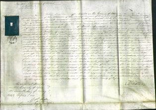 Court of Common Pleas - Frances Coe-Original Ancestry