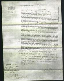 Court of Common Pleas - Sarah Gay Forbes Noel-Original Ancestry