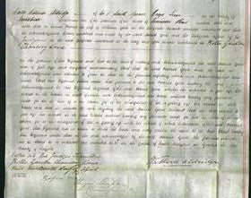 Court of Common Pleas - Harriet Goose-Original Ancestry