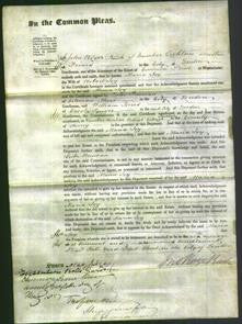 Court of Common Pleas - Maria Joy-Original Ancestry