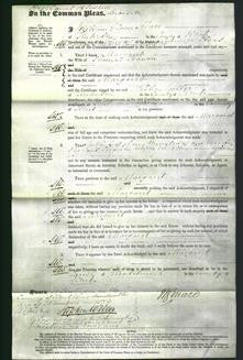 Court of Common Pleas - Margaret Pearson-Original Ancestry