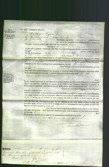 Court of Common Pleas - Emma Davis-Original Ancestry