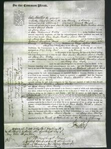 Court of Common Pleas - Jane Austin, Caroline Maria Peales and Mary Ann Bisley-Original Ancestry
