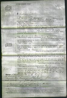 Court of Common Pleas - Fanny Hurt-Original Ancestry