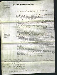 Court of Common Pleas - Jane Lucas-Original Ancestry