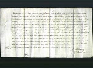 Deed by Married Women - Elizabeth Ann Steele-Original Ancestry