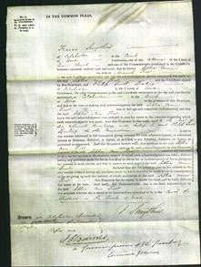 Court of Common Pleas - Sophia Ann Frost-Original Ancestry