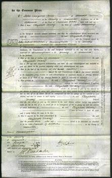 Court of Common Pleas - Elizabeth Mary Hemming-Original Ancestry